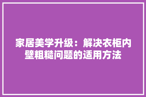 家居美学升级：解决衣柜内壁粗糙问题的适用方法 现代风格装饰