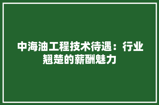 中海油工程技术待遇：行业翘楚的薪酬魅力