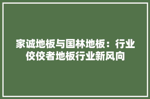 家诚地板与国林地板：行业佼佼者地板行业新风向 现代风格装饰