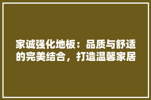 家诚强化地板：品质与舒适的完美结合，打造温馨家居生活 现代风格装饰