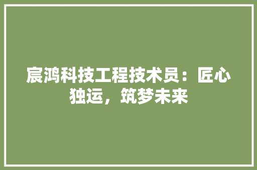 宸鸿科技工程技术员：匠心独运，筑梦未来 现代风格装饰