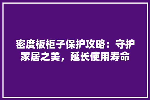 密度板柜子保护攻略：守护家居之美，延长使用寿命 现代风格装饰