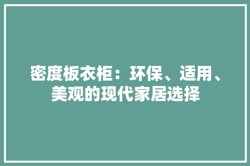 密度板衣柜：环保、适用、美观的现代家居选择 现代风格装饰