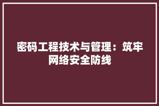 密码工程技术与管理：筑牢网络安全防线 现代风格装饰