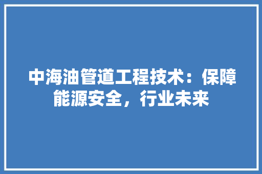 中海油管道工程技术：保障能源安全，行业未来 家居装修