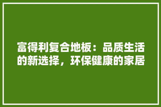 富得利复合地板：品质生活的新选择，环保健康的家居伴侣 现代风格装饰