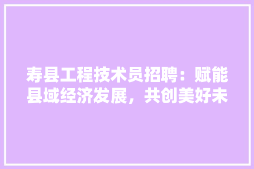 寿县工程技术员招聘：赋能县域经济发展，共创美好未来 现代风格装饰