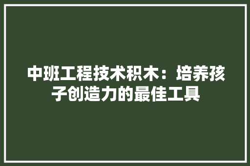 中班工程技术积木：培养孩子创造力的最佳工具 家居装修