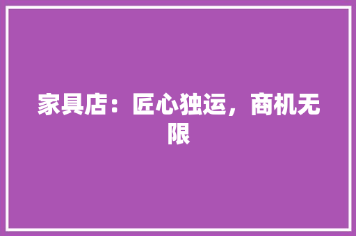 家具店：匠心独运，商机无限 现代风格装饰
