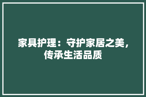 家具护理：守护家居之美，传承生活品质 现代风格装饰