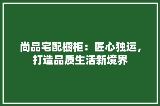 尚品宅配橱柜：匠心独运，打造品质生活新境界 现代风格装饰
