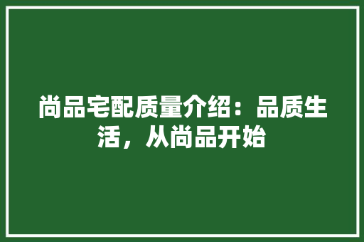 尚品宅配质量介绍：品质生活，从尚品开始 现代风格装饰