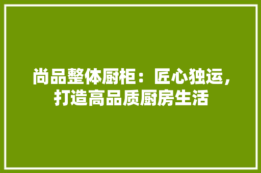 尚品整体厨柜：匠心独运，打造高品质厨房生活 现代风格装饰