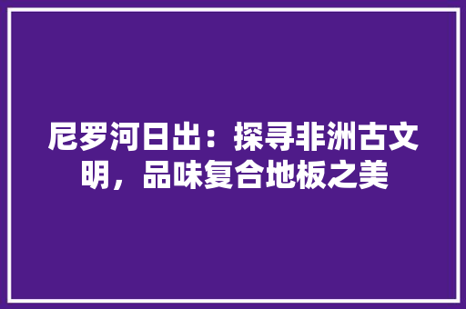 尼罗河日出：探寻非洲古文明，品味复合地板之美 现代风格装饰