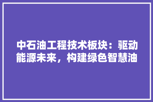 中石油工程技术板块：驱动能源未来，构建绿色智慧油田 家居装修