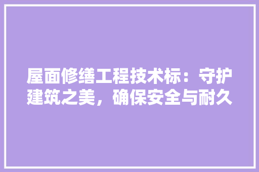 屋面修缮工程技术标：守护建筑之美，确保安全与耐久 现代风格装饰