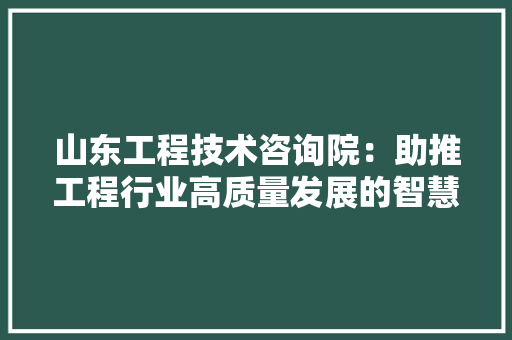 山东工程技术咨询院：助推工程行业高质量发展的智慧引擎