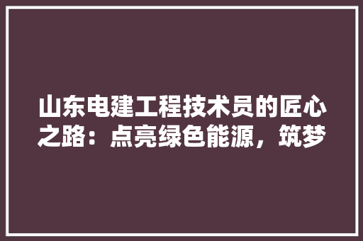 山东电建工程技术员的匠心之路：点亮绿色能源，筑梦未来