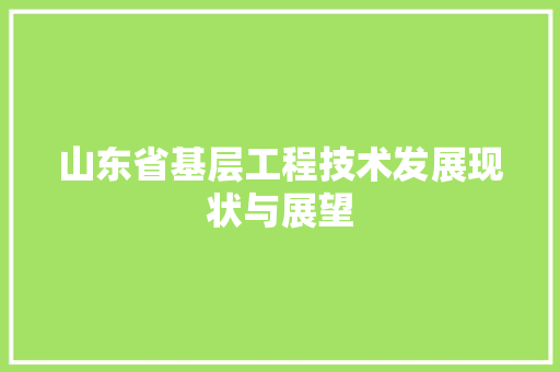 山东省基层工程技术发展现状与展望 现代风格装饰