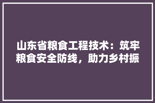 山东省粮食工程技术：筑牢粮食安全防线，助力乡村振兴 现代风格装饰