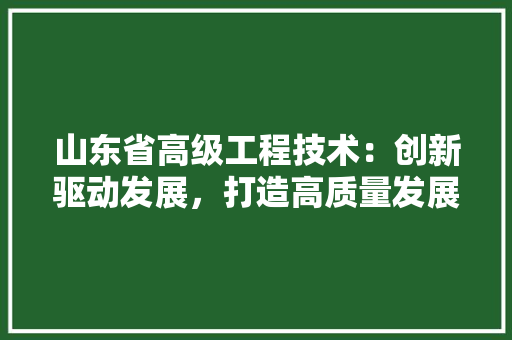山东省高级工程技术：创新驱动发展，打造高质量发展新引擎 现代风格装饰