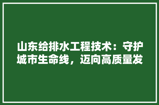 山东给排水工程技术：守护城市生命线，迈向高质量发展 现代风格装饰