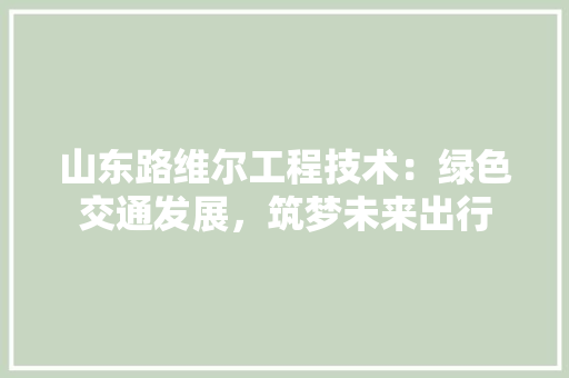 山东路维尔工程技术：绿色交通发展，筑梦未来出行 现代风格装饰