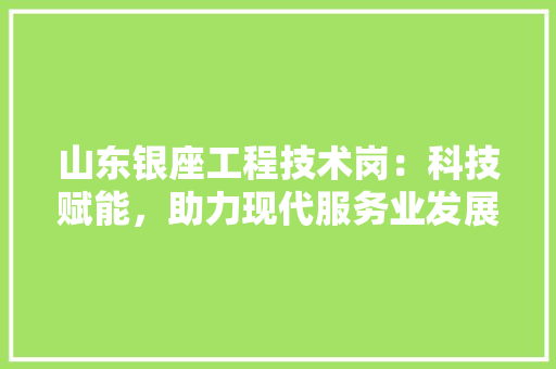 山东银座工程技术岗：科技赋能，助力现代服务业发展 现代风格装饰