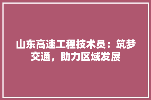 山东高速工程技术员：筑梦交通，助力区域发展 现代风格装饰