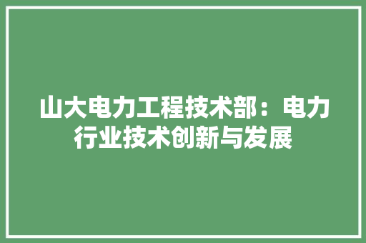 山大电力工程技术部：电力行业技术创新与发展 现代风格装饰