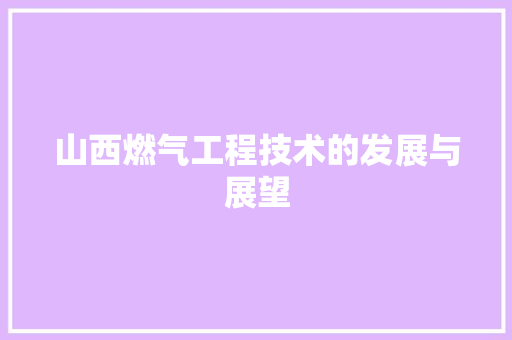 山西燃气工程技术的发展与展望 现代风格装饰