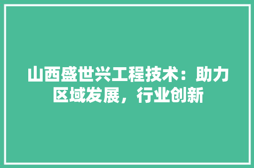 山西盛世兴工程技术：助力区域发展，行业创新 现代风格装饰