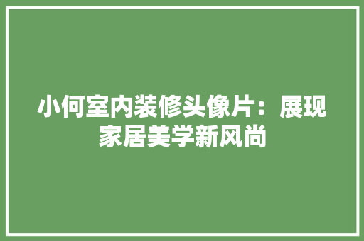 小何室内装修头像片：展现家居美学新风尚 现代风格装饰
