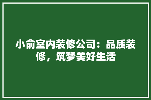 小俞室内装修公司：品质装修，筑梦美好生活 现代风格装饰