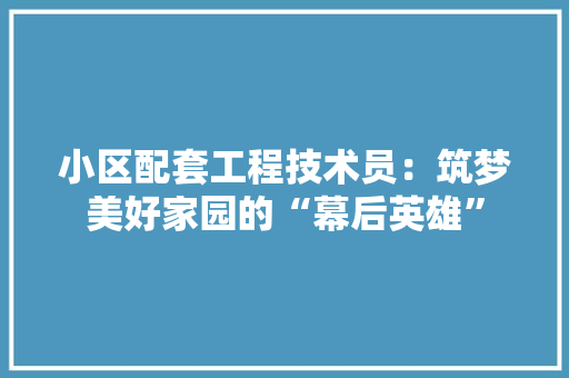 小区配套工程技术员：筑梦美好家园的“幕后英雄” 现代风格装饰