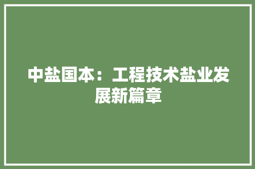 中盐国本：工程技术盐业发展新篇章