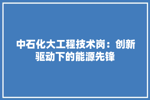 中石化大工程技术岗：创新驱动下的能源先锋