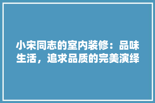 小宋同志的室内装修：品味生活，追求品质的完美演绎 现代风格装饰