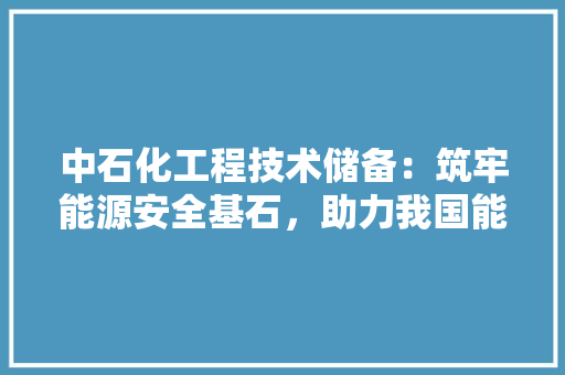 中石化工程技术储备：筑牢能源安全基石，助力我国能源事业腾飞 家居装修