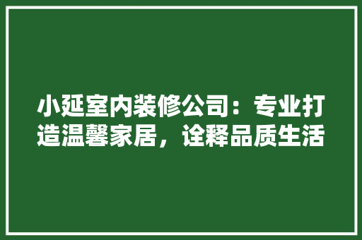 小延室内装修公司：专业打造温馨家居，诠释品质生活新理念 现代风格装饰