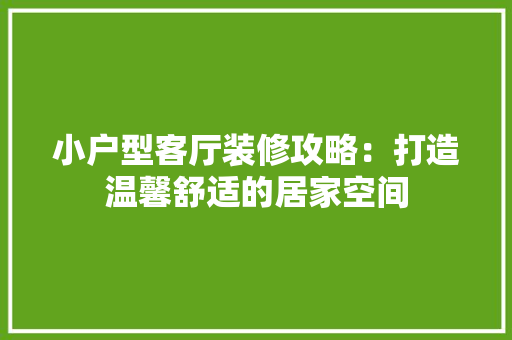 小户型客厅装修攻略：打造温馨舒适的居家空间 现代风格装饰