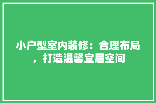 小户型室内装修：合理布局，打造温馨宜居空间 现代风格装饰