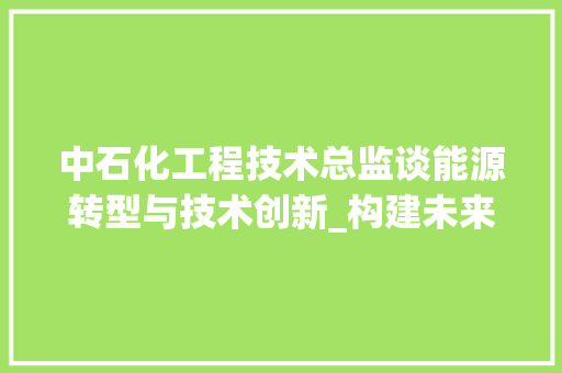 中石化工程技术总监谈能源转型与技术创新_构建未来能源体系新蓝图 家居装修