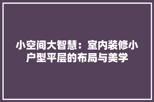 小空间大智慧：室内装修小户型平层的布局与美学