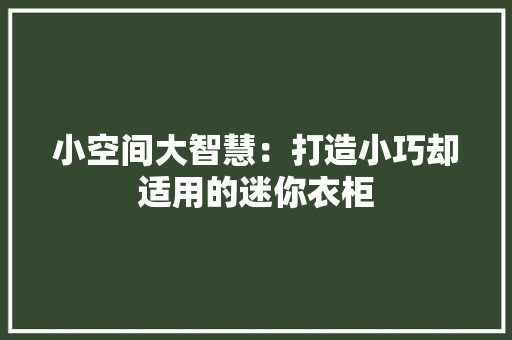 小空间大智慧：打造小巧却适用的迷你衣柜 现代风格装饰
