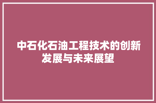 中石化石油工程技术的创新发展与未来展望
