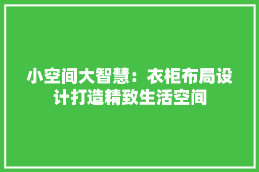 小空间大智慧：衣柜布局设计打造精致生活空间