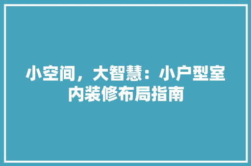 小空间，大智慧：小户型室内装修布局指南 现代风格装饰