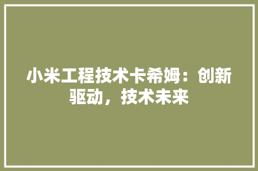 小米工程技术卡希姆：创新驱动，技术未来 现代风格装饰
