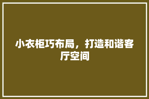小衣柜巧布局，打造和谐客厅空间 现代风格装饰